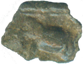 OBRW_H22_ele+sva_struck_obverse