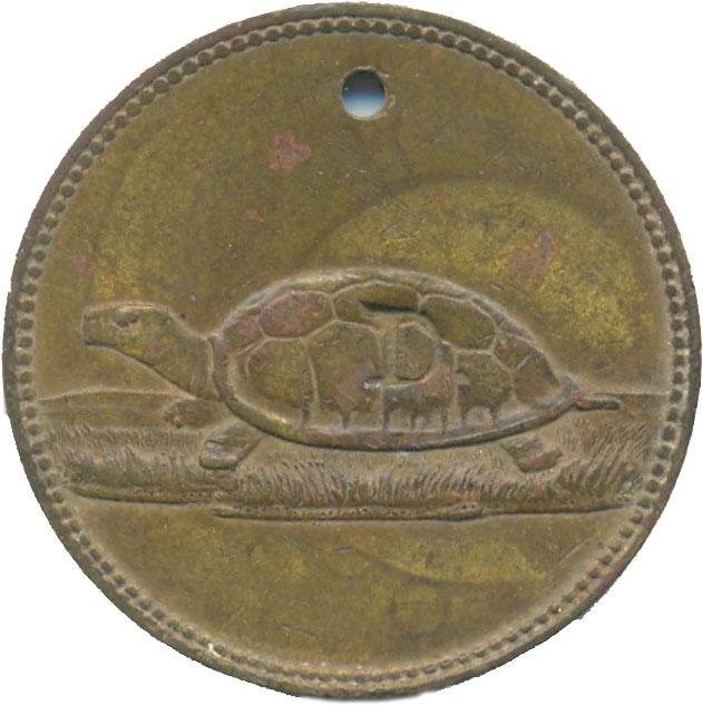kdco_tortoise_D_obverse